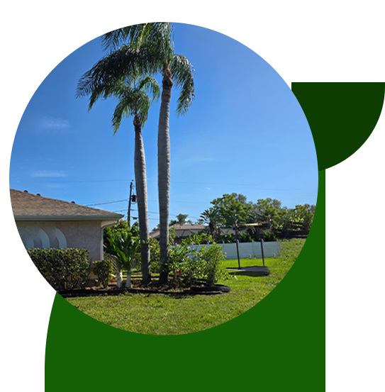 Mendez Lawn Care Project Team
