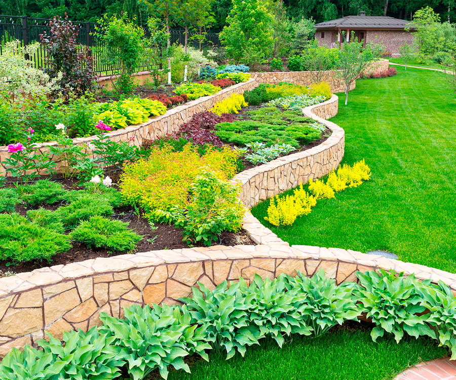 Professional Landscaping Services near me